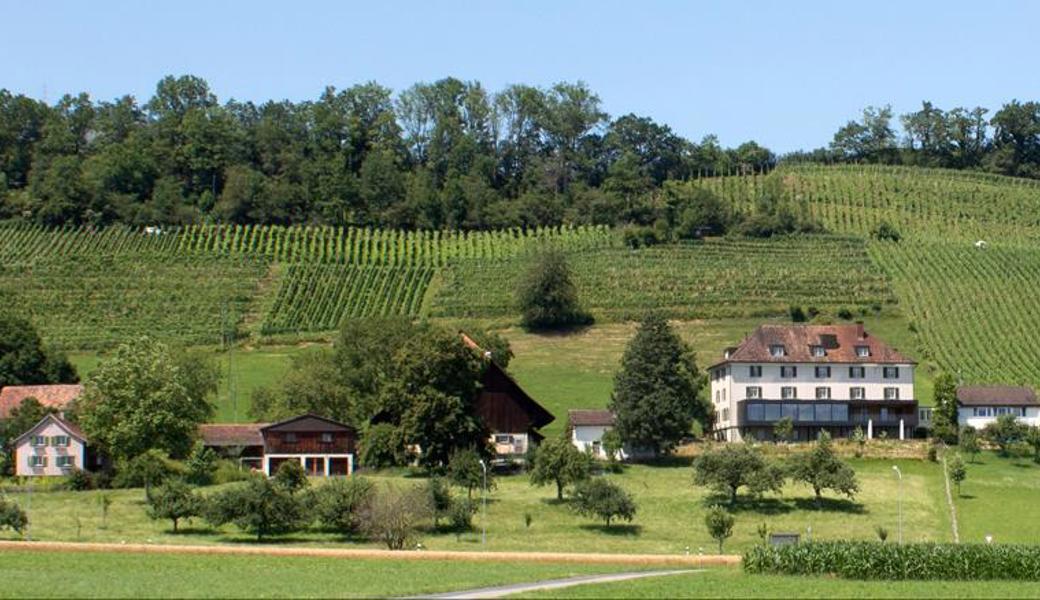 Im neuen «Gutshof Forst» werden ab Januar die nötigen Anpassungen vorgenommen. 