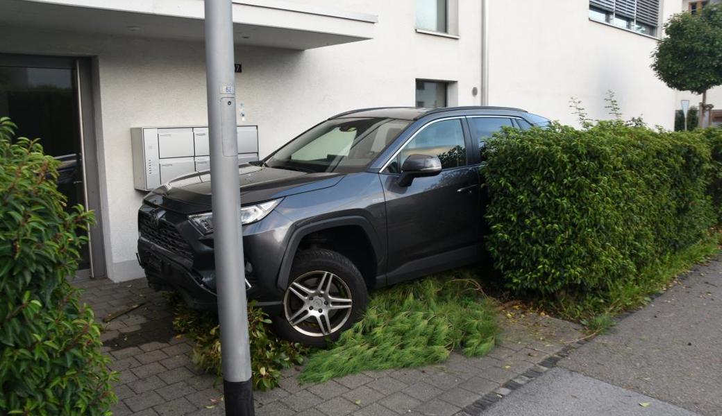 Das Auto durchbrach die Hecke und kam vor  dem Haupteingang zu stehen.