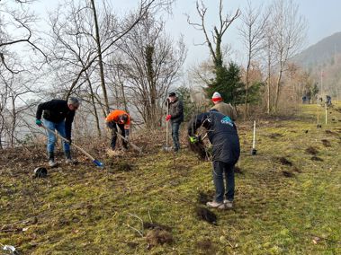 Rotary-Club Rheintal setzt sich mit Partnern in der Natur ein