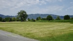 Die Ortsgemeinde Widnau hilft dem Lustenauer Fussball