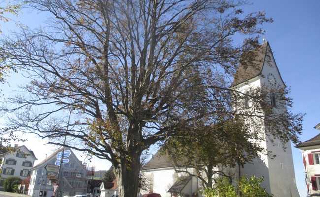 Ein grünes Wahrzeichen neben der Kirche verschwindet