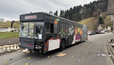 Sieben Verletzte bei einem Auffahrunfall am Fasnachtsumzug