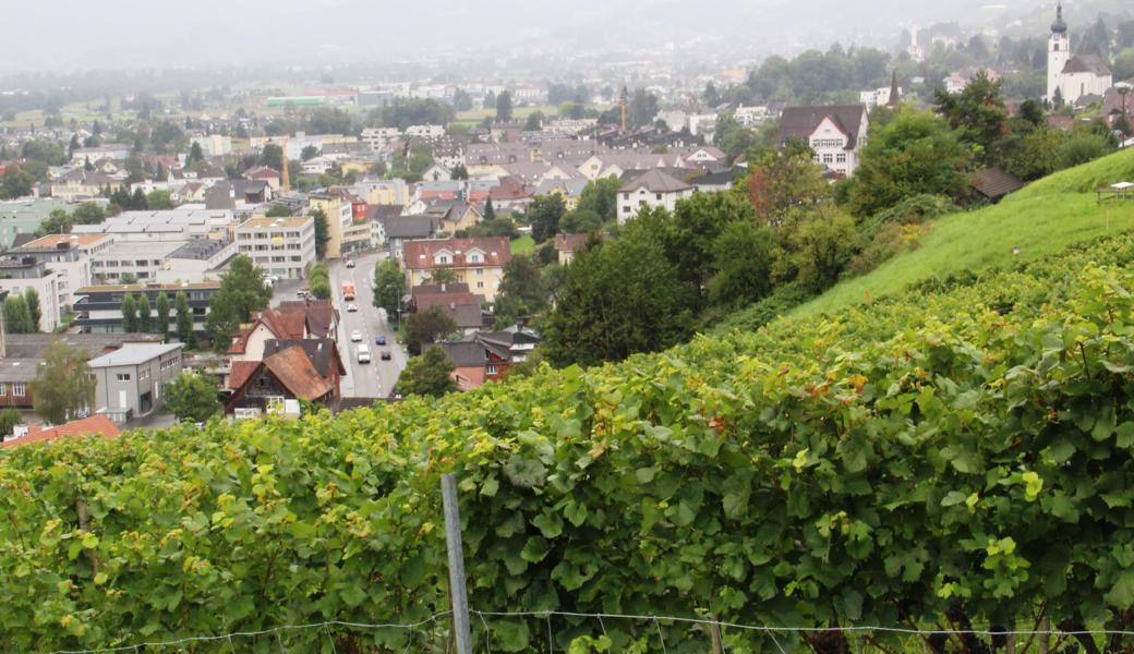 In Balgach soll am 7. Mai eine Bürgerversammlung stattfinden.