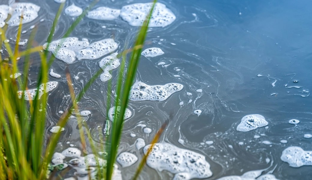 Gemüsebauer gibt nicht auf, obwohl er Gewässer verschmutzte – nun landet der Fall vor Bundesgericht