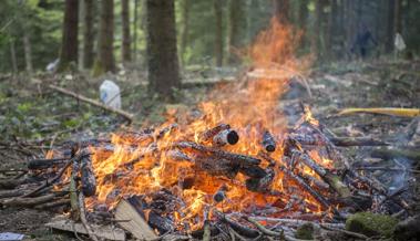 Kein Feuer und Feuerwerk im Wald und in Waldesnähe