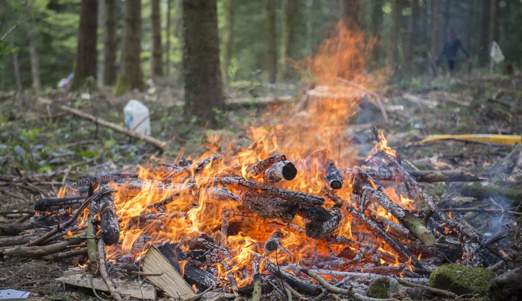 Im Wald grillieren: Das ist nun verboten.