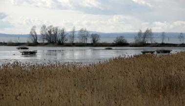 Vermisster wird in Fussacher Bucht gesucht