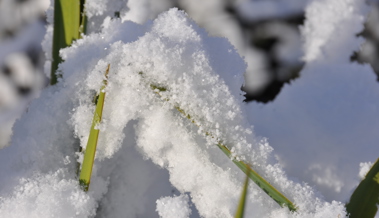 Auch nach einem milden Februar kann es im März noch einmal einen Wintereinbruch geben