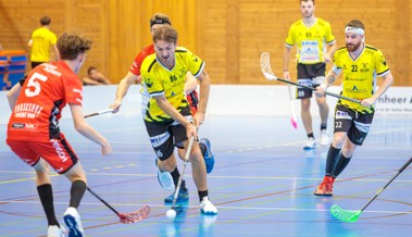 Rheintal Gators gewinnen erstes Heimspiel der Saison mit 8:5