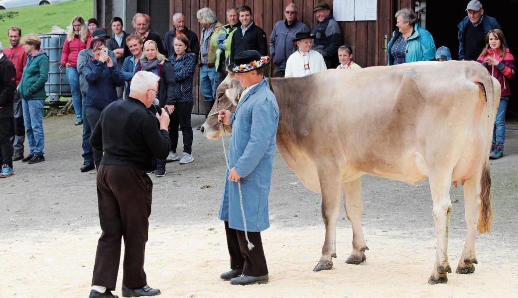 Gross war das Interesse der Besucherinnen und Besucher an der Viehschau. 