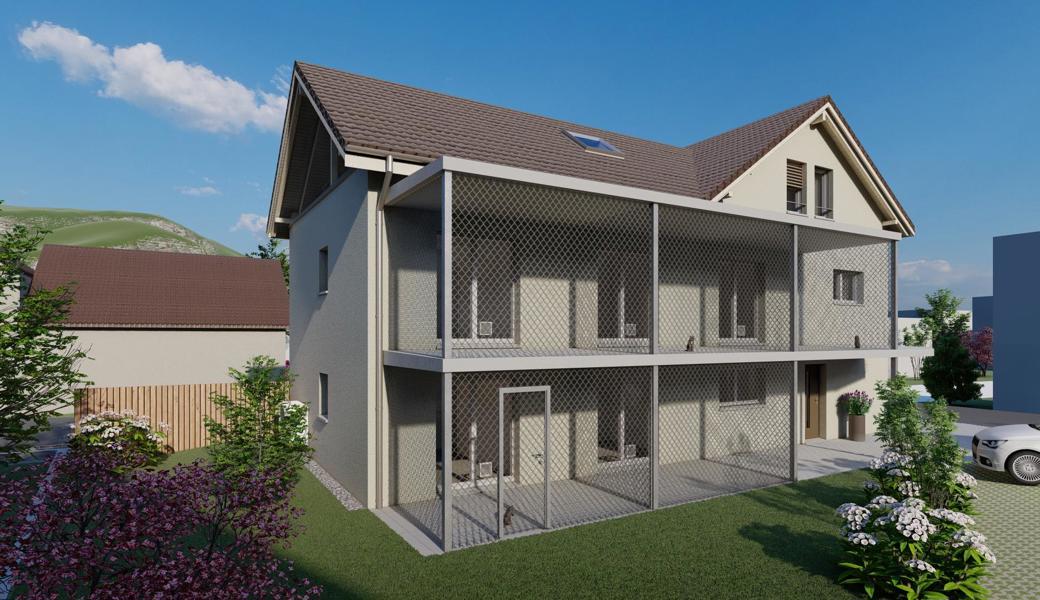 Die vom Tierschutzverein Rheintal geführte Katzenstation in Montlingen zieht bald in einen Neubau in Oberriet um, der Platz für 30 Katzen bietet.  