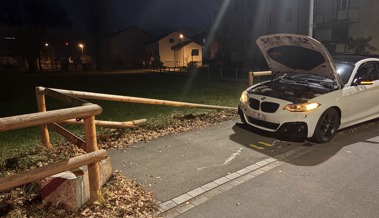 Hoher Sachschaden nach Selbstunfall: 27-jähriger Lenker verliert Kontrolle über Auto