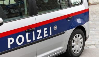 Polizisten geprügelt und gebissen