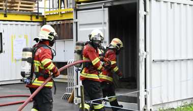 18 Brände mehr als im Vorjahr: Feuerwehren waren stark gefordert mit Einsatzrekord