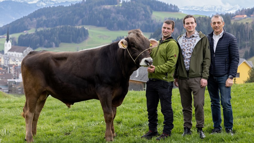 Besitzer Philipp Eisenhut hält den Hauptpreis, Stier Jonny, in Gesellschaft der Sponsoren-Vertreter aus dem Rheintal.