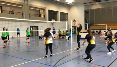 Schweizer Meisterschaft im Netzball im «Bildstöckli»