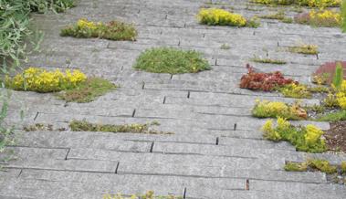 Garten: Lebensraum zwischen Steinen