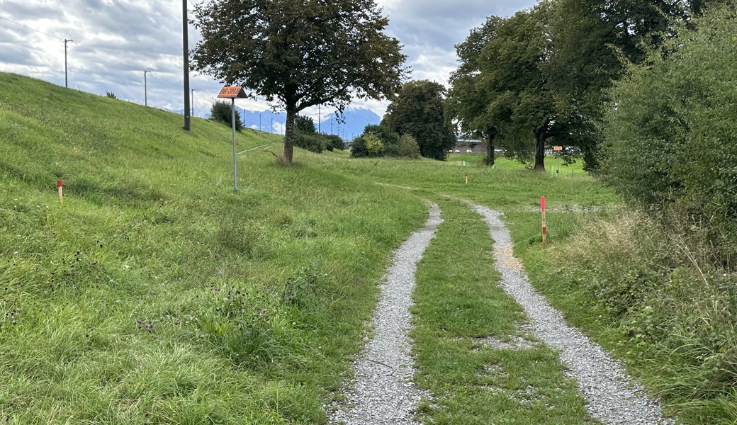 Interventionspiste in Widnau soll sicheren Zugang zum Damm gewährleisten