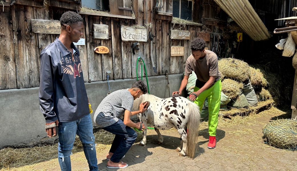 Der erste Kontakt mit Pferden.    Foto: mia