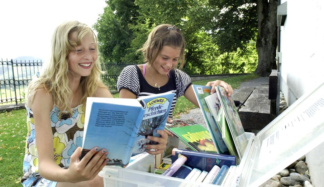 Ein Bild aus dem Archiv (2011): Zehn Sommer lang bot bei der Forstkapelle eine Bücherkiste Lesespass für Leserinnen und Leser jeden Alters. Vielleicht steht nächstes Jahr wieder eine dort.