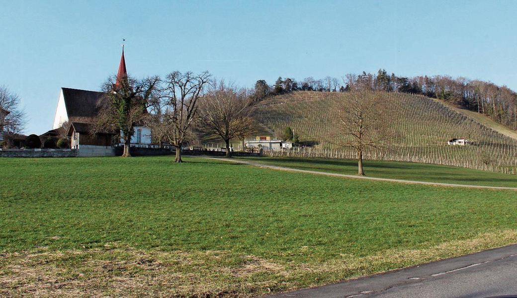 Einige Einsprecher wollen, dass das Wasserreservoir am Chapf (gleich rechts von der Kirche) ernsthaft als alternativer Standort geprüft wird. 