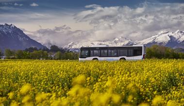 Bus Ostschweiz kann Rorschacher Linien nicht übernehmen