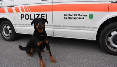 Polizeihund Yodi beisst 27-Jährigen