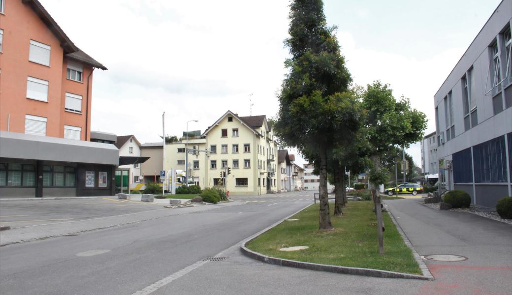 Widnau (E), Diepoldsau (R), St.Margrethen (Z), Rebstein (T)