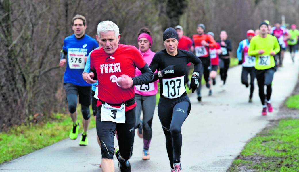 Sechsmal im Jahr nehmen rund 200 Läuferinnen und Läufer die Lustenauer Crosslaufstrecke in Angriff.