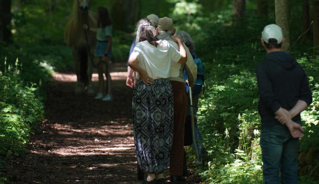 Der Wald als Begegnungszone für Mensch, Tier und Pflanzen. 