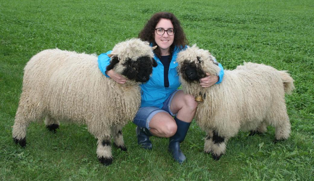 Die Walliser Schwarznasen-Schafe Luna (7 Monate alt) und Stella (5 Monate) mit der Züchterin Claudia Wüst aus Balgach. 