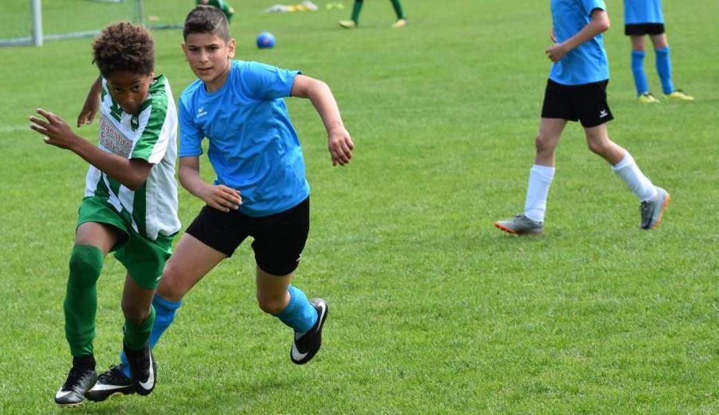 Gruppensieger Rebstein scheiterte schon im Halbfinal (0:3 gegen Zuzwil).