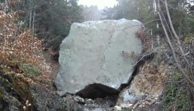 Sprengung im Tobelwald