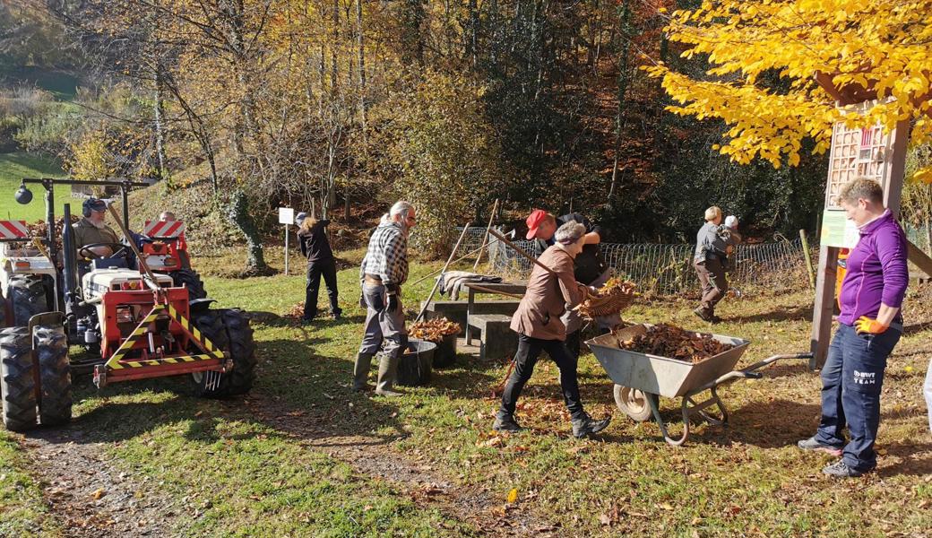 Mitglieder des Ornithologischen Vereins Berneck-Au im Frondiensteinsatz. 