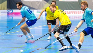 Die Gators erfüllen ihre Pflicht im Schweizer Cup souverän