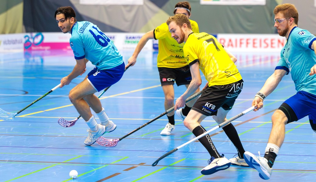 Die Gators erfüllen ihre Pflicht im Schweizer Cup souverän