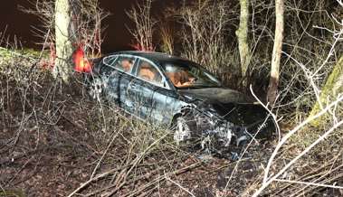 59-Jähriger kommt mit dem Auto von der Strasse ab und landet im Wald