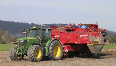 Die Kartoffelernte fällt aufgrund der Wetterbedingungen schlecht aus