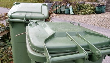 Gemeinden wollen unbeliebte Grüngut-Gebührenmarken loswerden