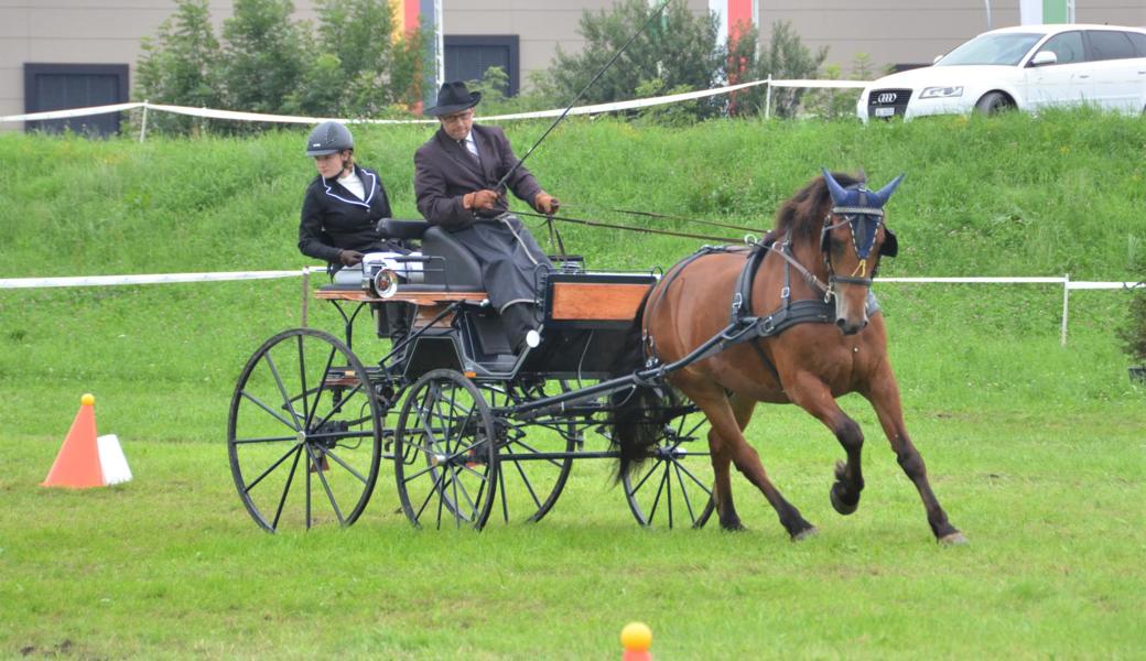 Rolf Lüchinger aus Kriessern trug mit seiner guten Fahrt zum Sieg der Equipe des Gespann-Fahrvereins Rheintal bei.