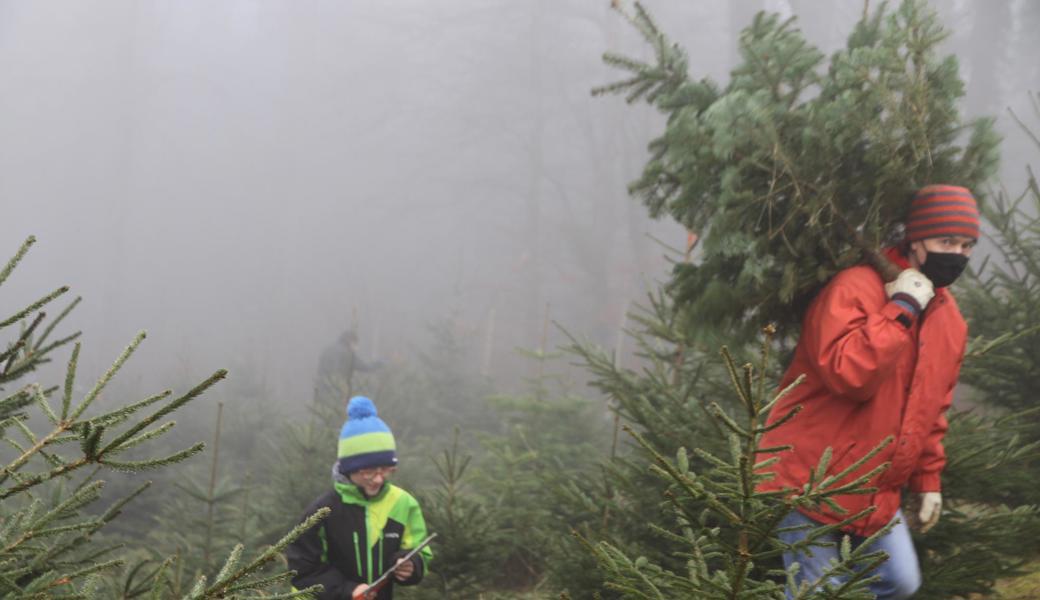 Mit dem Baum auf der Schulter lässt sich der Hang am einfachsten bezwingen.