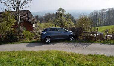 Zu fest aufs Gaspedal gedrückt - Gartenhag stoppt Auto