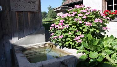 Die Biodiversität vor der eigenen Haustür