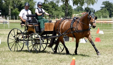 Pferd und Fahrer trotzen der Hitze im Oberrieter Pylonengarten