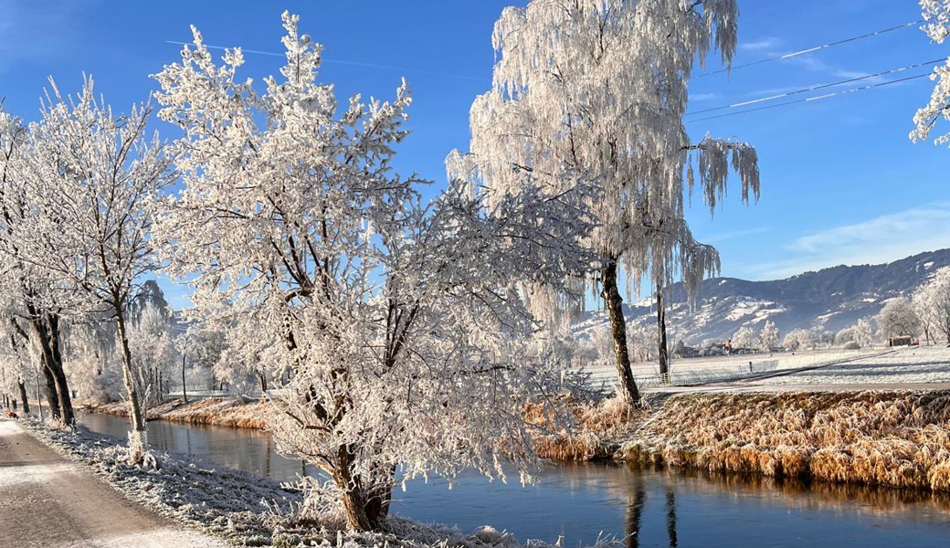 Eiskristalle glitzern in der Sonne: Der Neujahrsmorgen zeigte sich von seiner schönsten Seite