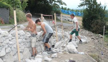 Lernen, Trockenmauern zu bauen