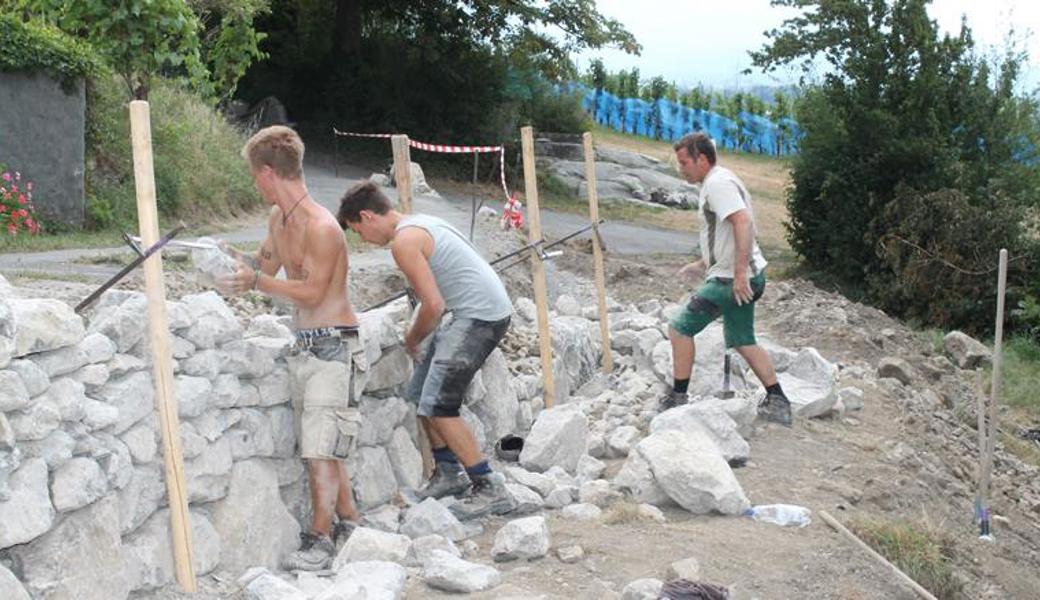 Beim Montlinger Bergli wurden im letzten Jahr ebenfalls grosse Trockenmauern erstellt. 