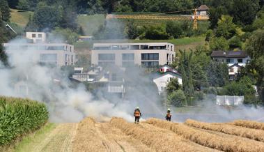 Video: Flammen wüten auf Feld