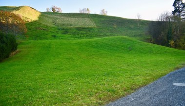 Die Elektra Walzenhausen möchte einen Batteriespeicher betreiben Die Elektra Walzenhausen möchte einen Batteriespeicher betreiben