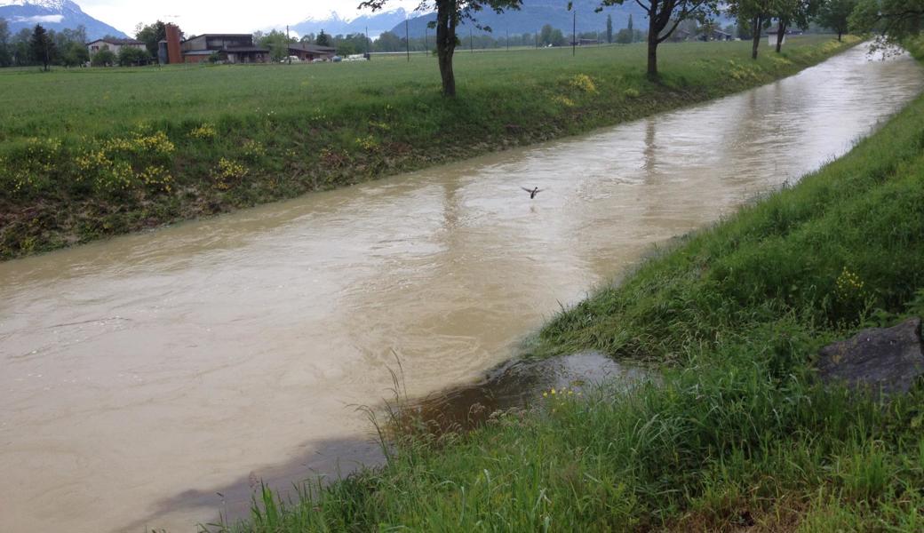 Der Pegel der Rietaach in Balgach sinkt langsam. 